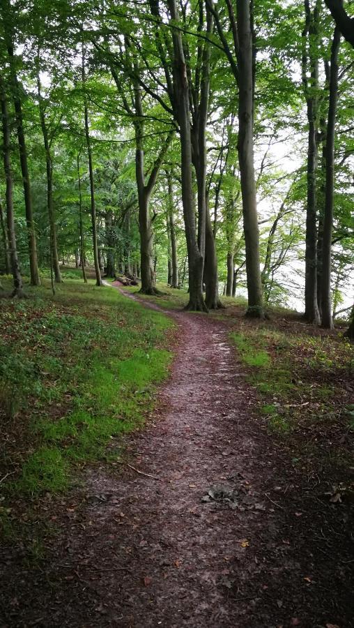 Kastanievejens Overnatning Svendborg Exterior foto